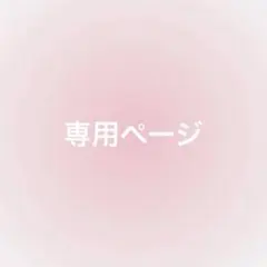 専用ページ
