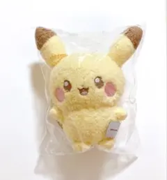ピカチュウ　ぬいぐるみ　韓国限定 ピカチュウ ぬいぐるみ 韓国限定 韓服 ピカチュウ ぬいぐるみ 全4種類