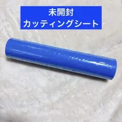 Item thumbnail for item b9fccdee-32e4-465a-9558-608ac32a55c9