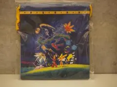 ポケモン天文台　巾着2枚セット　メイン柄