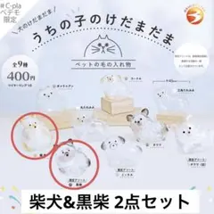 Item thumbnail for item ce93207e-2fa5-4663-9012-f70909fcdc3a