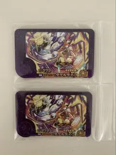 ポケモンフレンダ タケルライコ スーパートレジャー 2枚セット