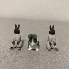 Item thumbnail for item 47350e65-afe8-4d04-b56b-e230976a458c