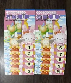 2025年購入 七田式 小学生プリント 右脳1 全10冊セット - メルカリ