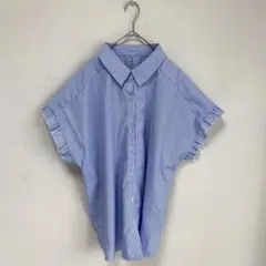 【SHEIN CURVE】【3XL】フリルスリーブ　ブラウス　大きいサイズ　水色のサムネイル
