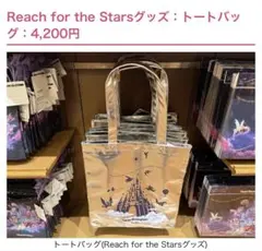 【新品未使用】ディズニーReach for the Stars トートバッグ