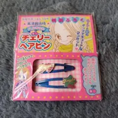 平成レトロ　りぼん付録