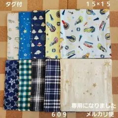 ガーゼハンカチ609 ハンドメイド