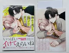 かずみ様 リクエスト 2点 まとめ商品