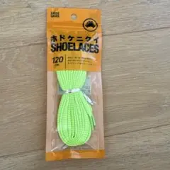 Item thumbnail for item cf2aa602-cfa0-4a4f-8bf6-6dbb526937f9