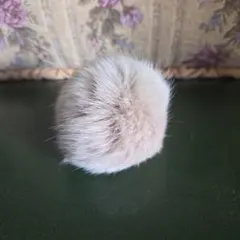 Item thumbnail for item bf9a418d-23c0-4c61-90cd-091525365f19