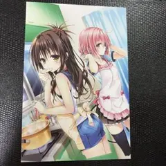 ToLOVEるダークネス　モモ　結城美柑　ポストカード　キッチンイラスト