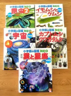 小学校の図鑑 NEOシリーズ 5冊セット
