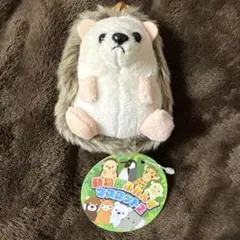 動物園ふれんずマスコット2 ハリネズミ マスコット キーホルダー