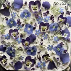 No,153 特小小花ミックス　ドライフラワー花材
