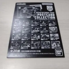 バレーボール日本代表チーム ポストカードコレクション No.6高橋藍選手