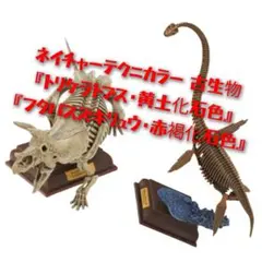 ネイチャーテクニカラー