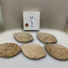 Item thumbnail for item 1a559f70-0ce4-4189-8854-c3a6085e15e3