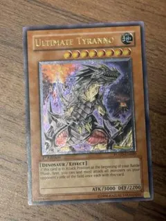 mtg 稀少個体 超高騰中 FOIL ボーダーレス ティアマト 英語版 afr