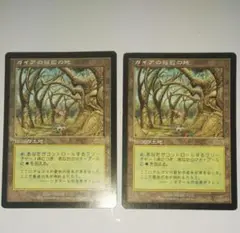 T@プロフさん専用　MTGマジックザギャザリング ガイアの揺籃の地 日本語版1枚 T@プロフさん専用 MTGマジックザギャザリング ガイアの揺籃の地