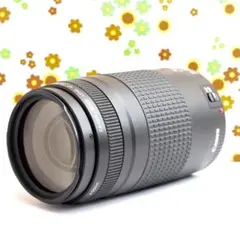 遠くの笑顔を鮮明に】Canon EF 75-300mm USM✨迫力300mm - メルカリ