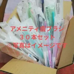 アメニティ歯ブラシ　30本