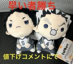 ハイキュー もちぴこぬいぐるみ