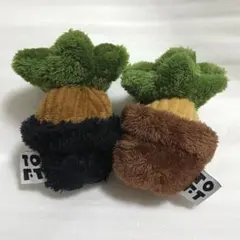 TOFT ぬいぐるみ 多肉植物 トフト サボテン ガジュマル - メルカリ