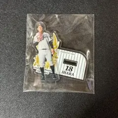 阪神タイガース 伊原隆人 アクリルスタンド