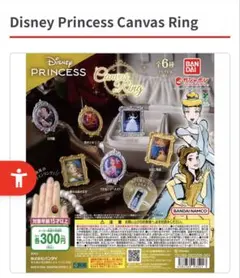 Disney Princess Canvas Ring 白雪姫2点セット