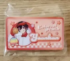 カラフルピーチ　お名前バッジ　ゆあんくん