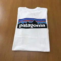 パタゴニアロゴtシャツ
