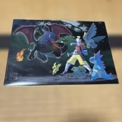 ポケモンギャラリーコレクション ポストカード ポケモンセンター 杉森