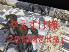 「2色同梱を出品」