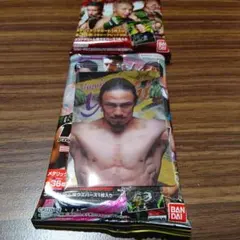 RIZINウエハース 24 No.31 矢地祐介