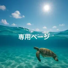 ラフレス(・∀・)様 リクエスト 2点 まとめ商品