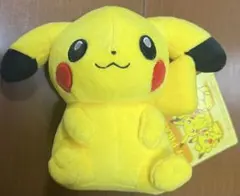 ポケモン マイピカチュウ 垂れ耳 困り顔 ぽっちゃり笑顔　セット ポケモン マイピカチュウ 垂れ耳 困り顔 ぽっちゃり笑顔 セット