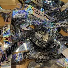 SnowManTour 2025 2026 銀テープ ON