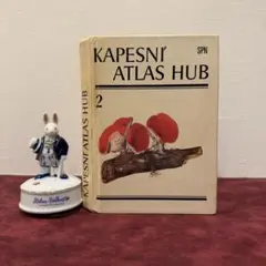 ❤️セール1224⑤1987年チェコキノコ図鑑　ジャンクジャーナル　ボタンニカル