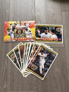 阪神タイガース 2003年優勝記念カードセット - メルカリ