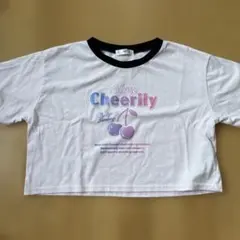 ALGY チェリー柄 グラデーションロゴ Tシャツのサムネイル