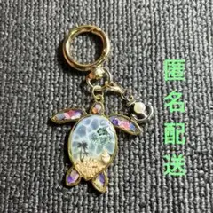 海塗りレジン　ホヌ