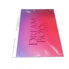 【新品・未開封】 田中樹　菊池風磨 DREAM BOYS 公式パンフレット
