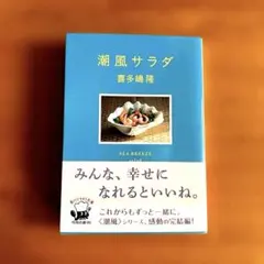 潮風サラダ　喜多嶋隆