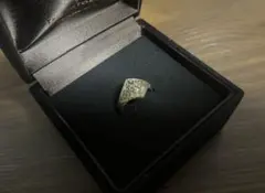 Item thumbnail for item 341fd615-6052-4811-9311-6526478396e4