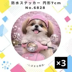 じゃあこさん様 リクエスト 9点 まとめ商品
