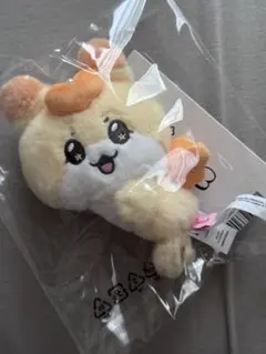 ホンジュン　トレカ付き　MIGHTEEZ ぬいぐるみキーリング hongyo