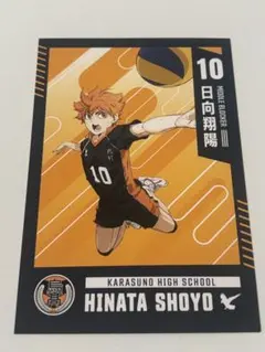 ハイキュー　日向翔陽 ポストカード
