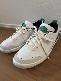 WMNS AIR JORDAN 2 RETRO LOW SE 24cm