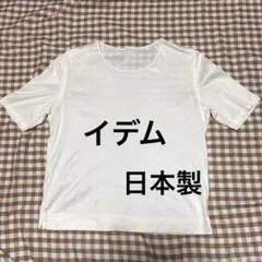 半袖 Tシャツ ホワイト ベージュ　クルーネック綿100%のサムネイル